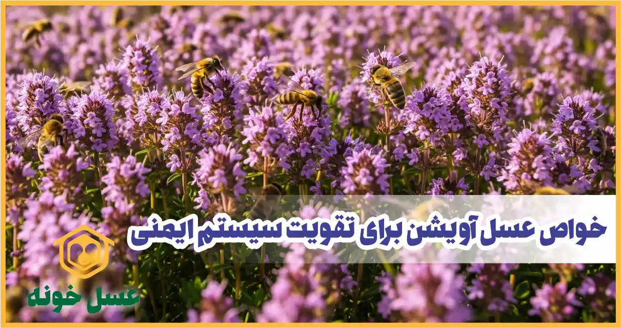  عسل آویشن چطور سیستم ایمنی بدنمون رو قوی‌تر می‌کنه؟